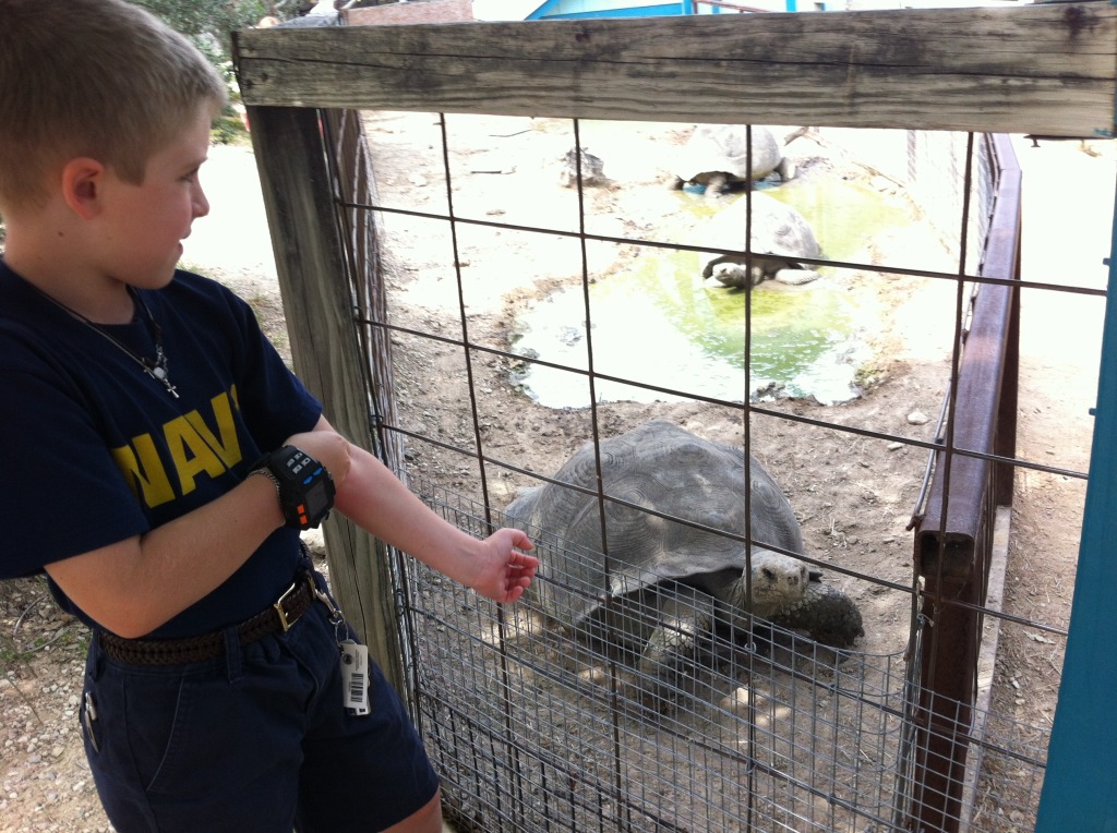 2012/04(April)/Austin Zoo with Ian/1024x768_2012-04-09-13-Austin Zoo with Ian.jpg